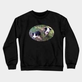 Sadie and Wyatt Crewneck Sweatshirt